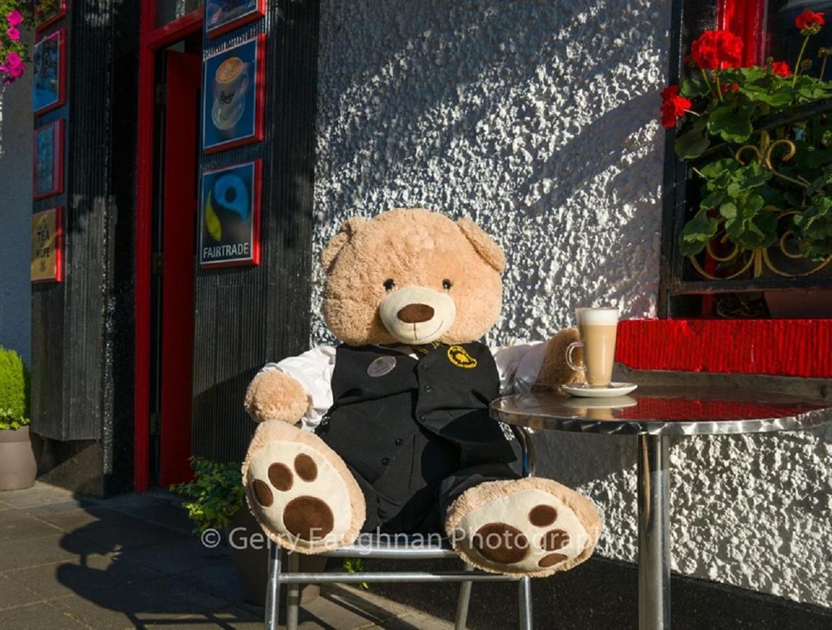 Bush Hotel County Leitrim Εξωτερικό φωτογραφία